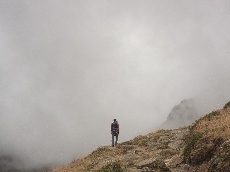 Mis cositas en la niebla